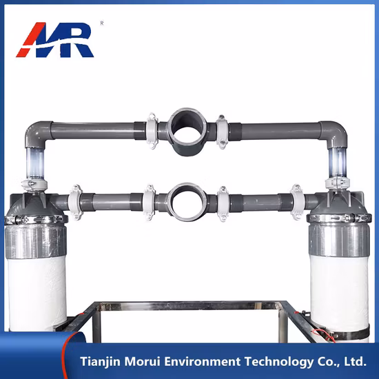 40tph UF 水処理プラント濃縮果汁工場用超純水処理システム