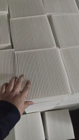 Qlent 自動車部品メーカーの活性炭フィルター 2048300518 キャビン フィルター